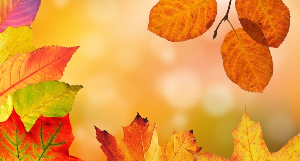 Mantenimiento del aire acondicionado en otoño: Todo lo que necesitas saber para ahorrar y respirar mejor
