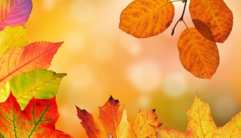 Mantenimiento del aire acondicionado en otoño: Todo lo que necesitas saber para ahorrar y respirar mejor